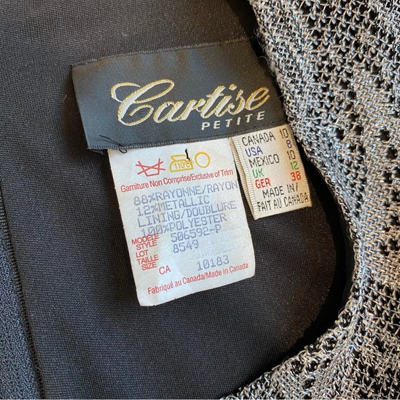 Vintage CARTISE Dress, Silver Crochet Knit, Maxi, Fringe, Black Lining, (US M) - Picture 13 of 16